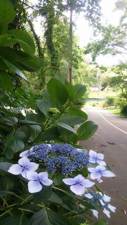 Caminho Das Colinas Gramado Luaran gambar